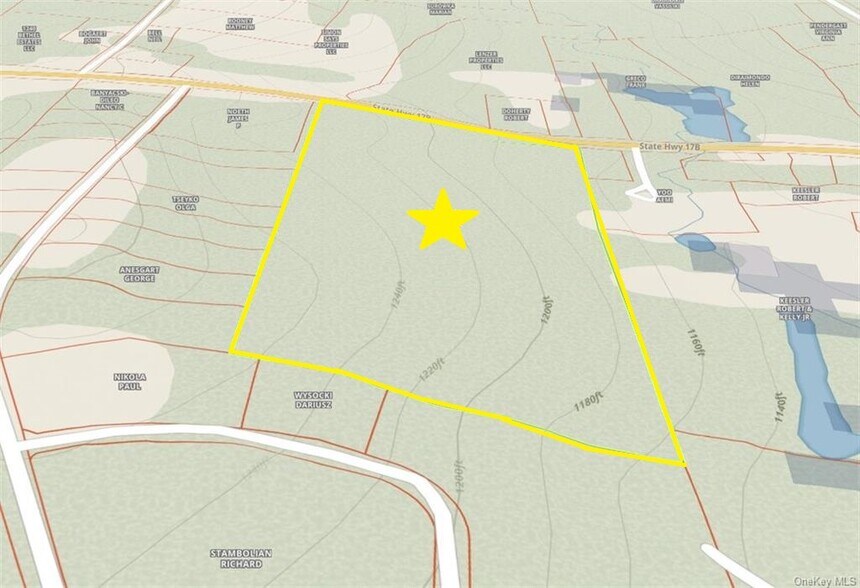 More Photos Of 1195 State Route 17B, Bethel Land For Sale