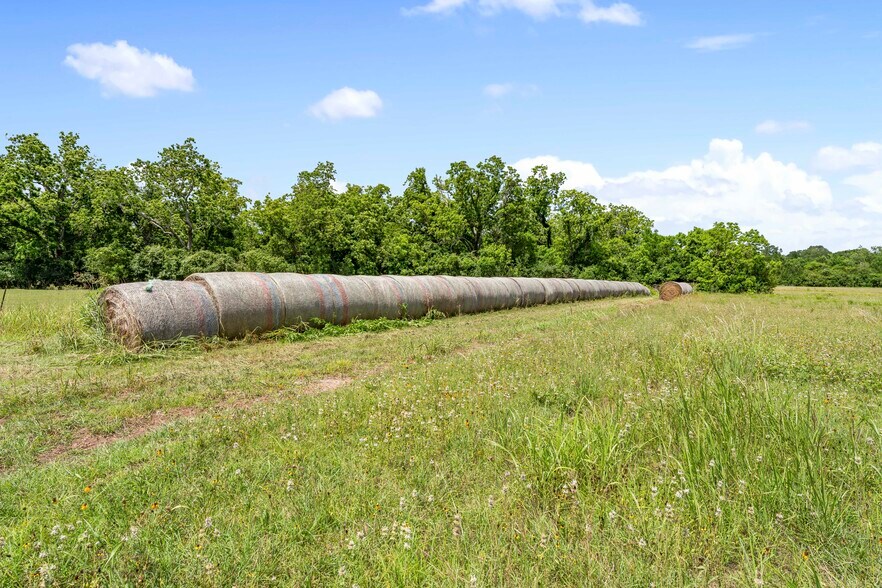 More Photos Of 10840 FM 442, Boling Land For Sale