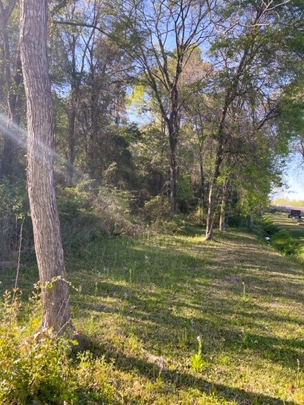More Photos Of Sleepy Hollow Road, Conroe Land For Sale