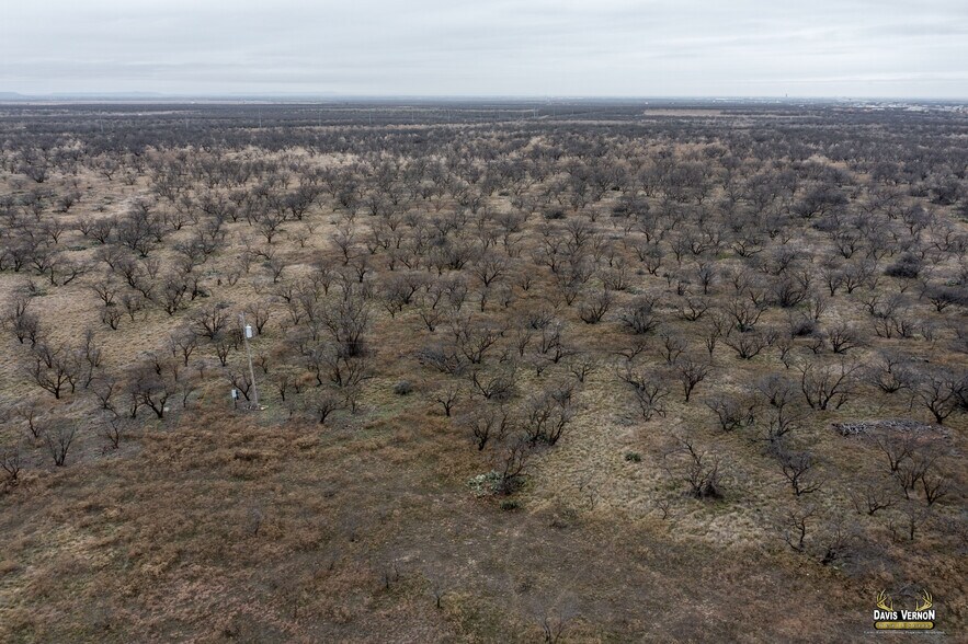 More Photos Of 10737 Interstate 20 W, Clyde Land For Sale