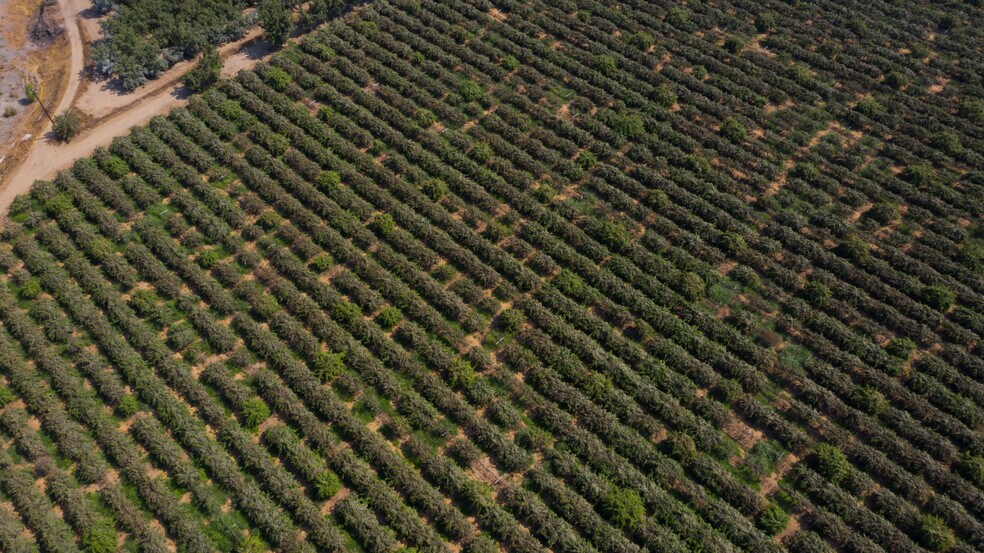 More Photos Of 2099 Hwy 70, Biggs Land For Sale