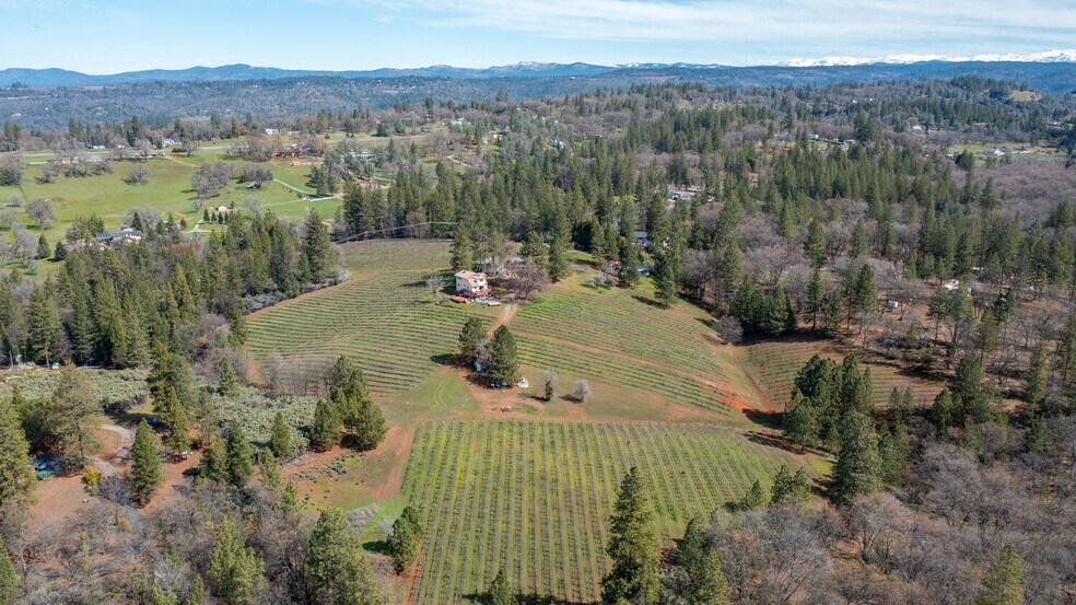 More Photos Of 4771 Greenhills Rd, Placerville Winery Vineyard For Sale