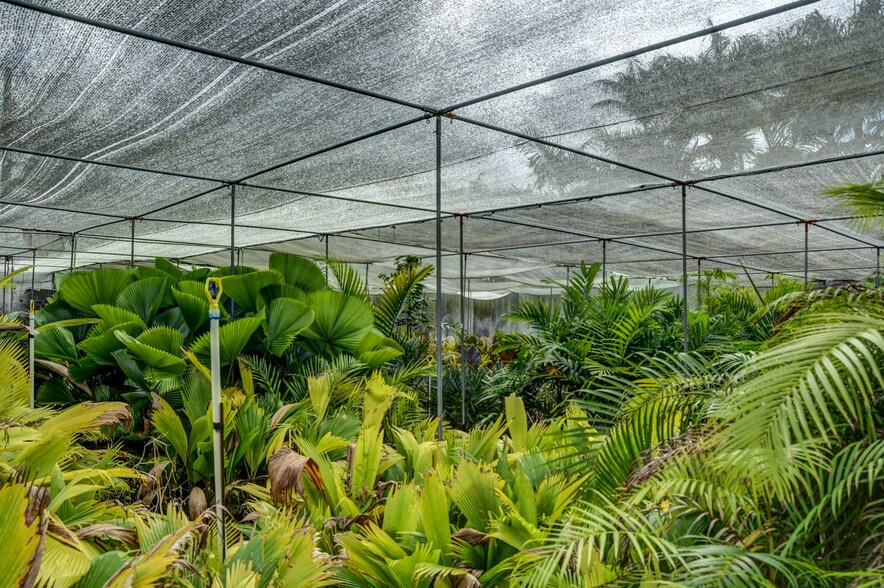 More Photos Of 27-2760 Hawaii Belt Rd, Pepeekeo Land For Sale