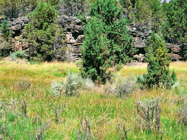 More Photos Of 32611 Tackman Rd, Prineville Land For Sale
