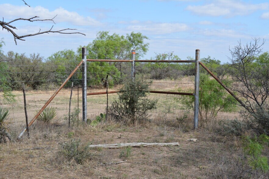 More Photos Of CR 1329, Paint Rock Land For Sale