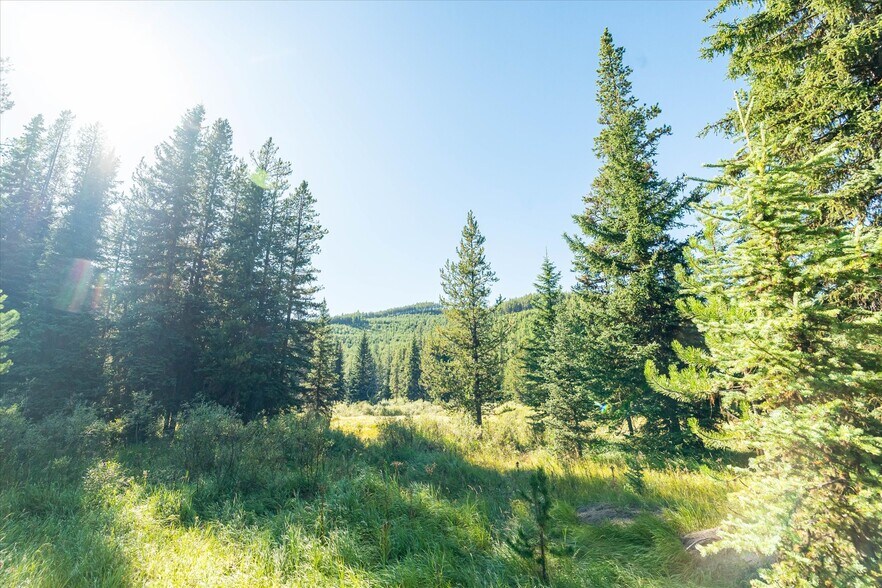 More Photos Of Nhn Logan Creek Road, Kila Land For Sale