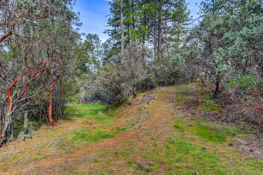 More Photos Of 22517 Parrotts Ferry Rd, Columbia Land For Sale