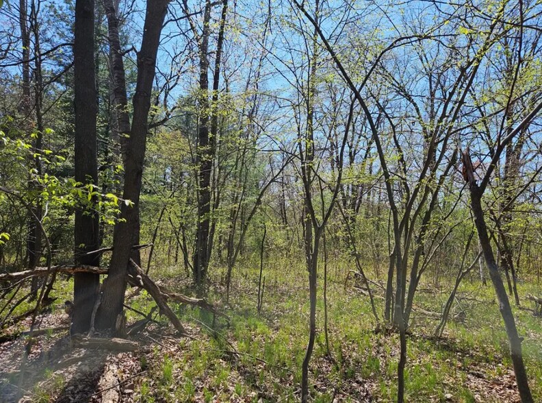 More Photos Of 2935 S Wisconsin Ave, Rice Lake Land For Sale