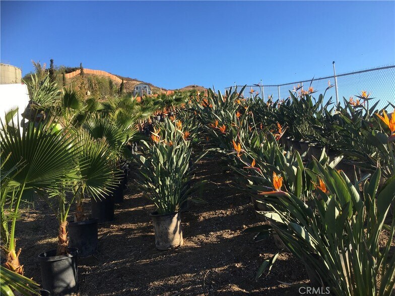 More Photos Of 10200 Willow Springs Lane, Sunland Land For Sale
