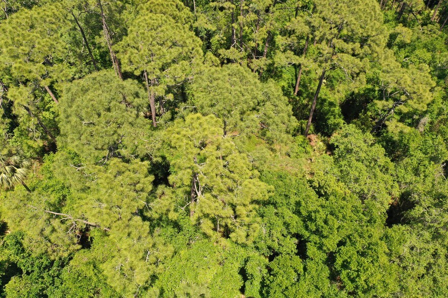 More Photos Of 638 Walnut St, Welaka Land For Sale