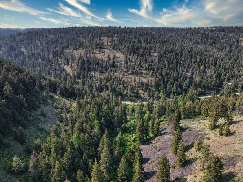 More Photos Of 45XXX Devore Rd, Davenport Land For Sale