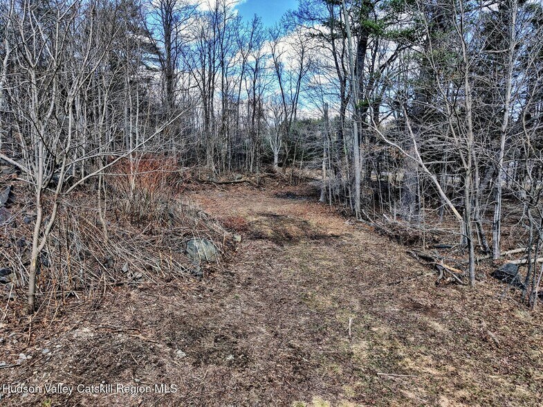 More Photos Of 7719 NY-32, Cairo Land For Sale