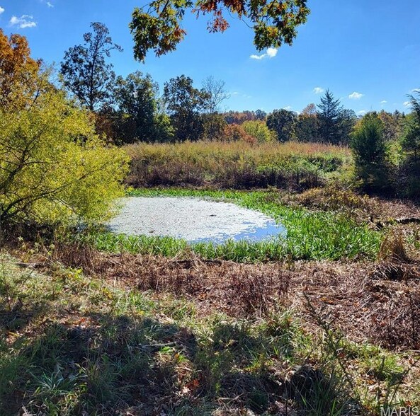 More Photos Of 1710 Ripley 142w-7, Gatewood Land For Sale