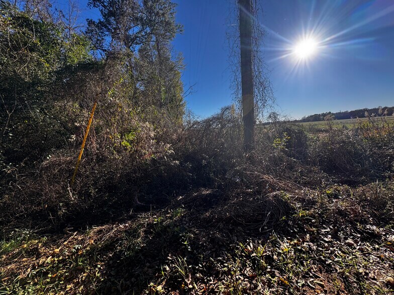 More Photos Of 0 Wiggins Road, Frisco City Land For Sale