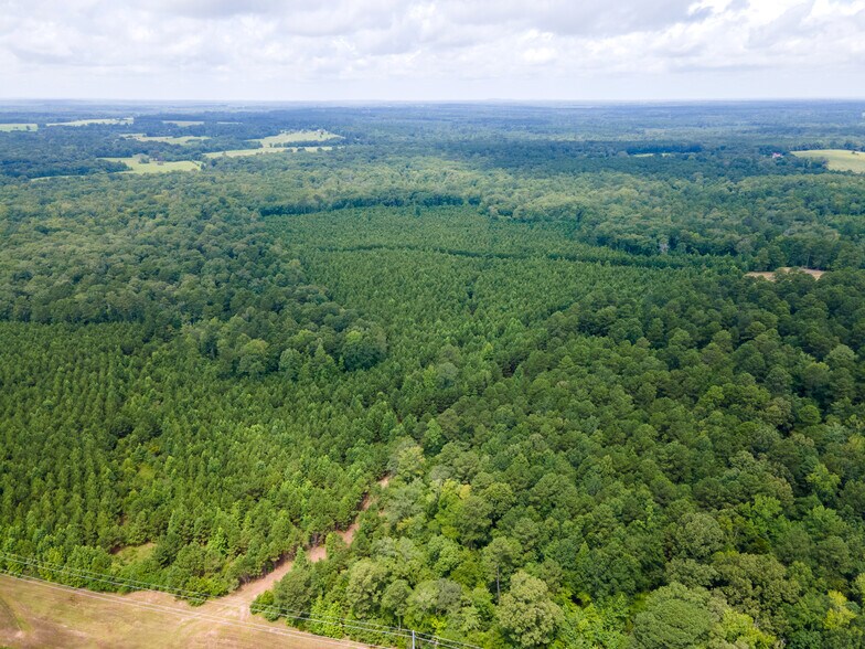 More Photos Of 2539 FM 995, Atlanta Land For Sale