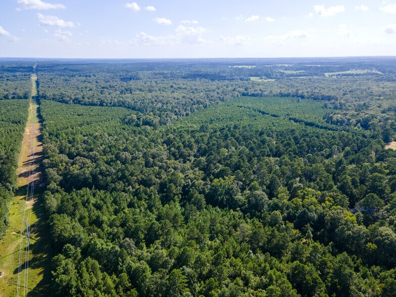 More Photos Of 2539 FM 995, Atlanta Land For Sale