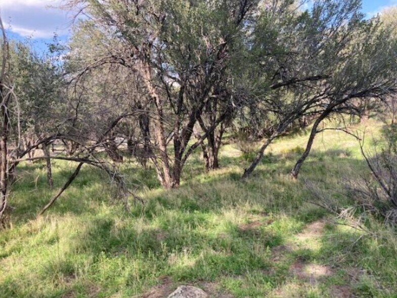 More Photos Of 200 325 S, Pine Valley Land For Sale
