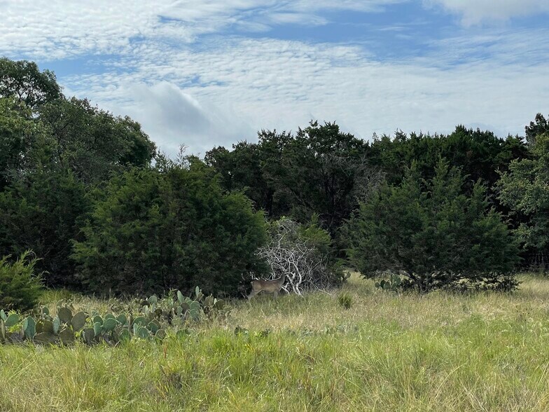 More Photos Of TBD CR 206, Lampasas Land For Sale