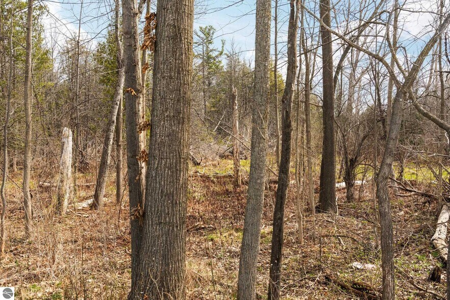 More Photos Of 2051 Garfield Ave, Traverse City Land For Sale