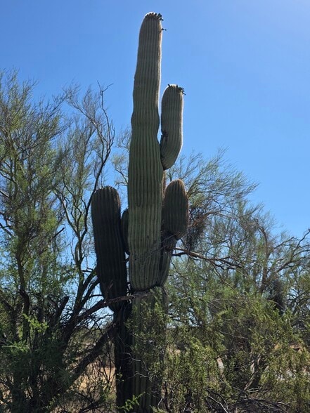 More Photos Of 31602 Black Cross #19 Rd, Scottsdale Land For Sale