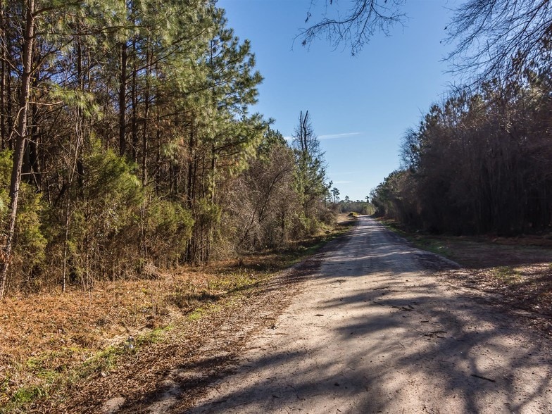 More Photos Of Eagle Rock Rd, Wendell Land For Sale