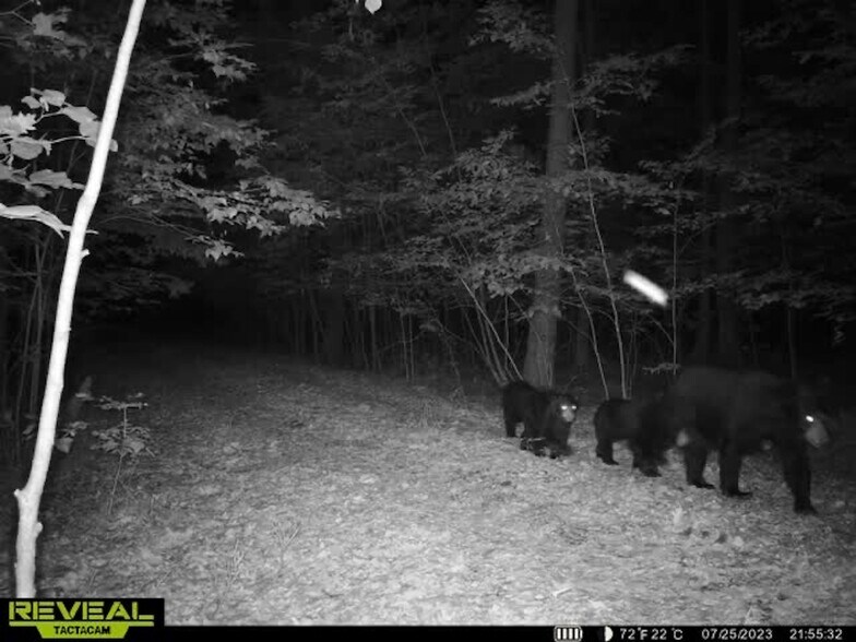 More Photos Of Fisher Road, Iola Land For Sale