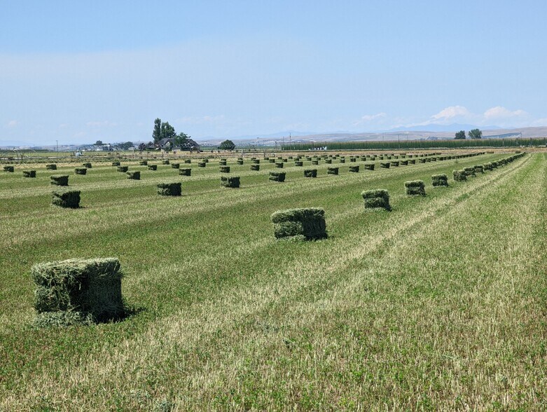 More Photos Of Simplot, Caldwell Land For Sale