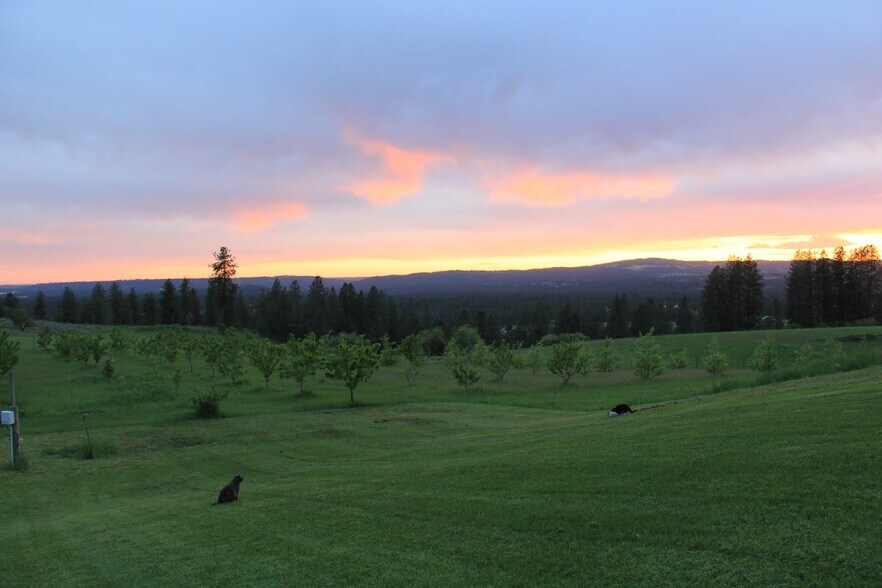 More Photos Of 17323 N Lower Greenbluff Rd, Colbert Land For Sale