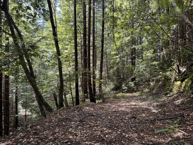 More Photos Of 23501 Branscomb Rd, Westport Land For Sale