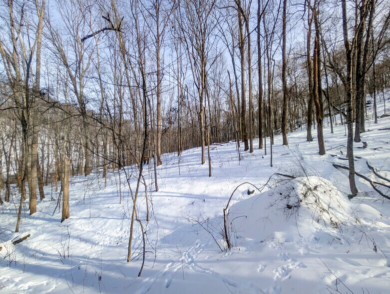 More Photos Of ,  Land For Sale
