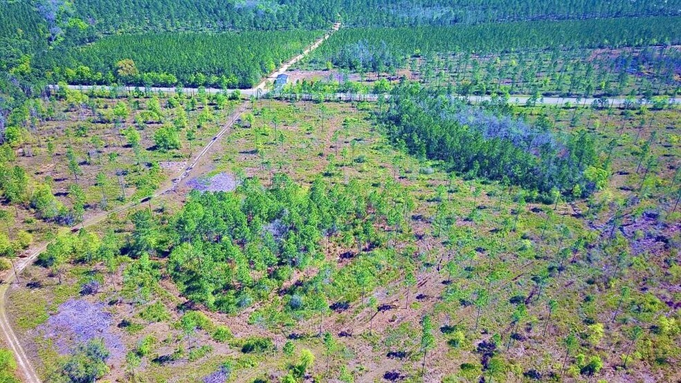 More Photos Of 8 Acres Hwy 221 hwy, Lakeland Land For Sale