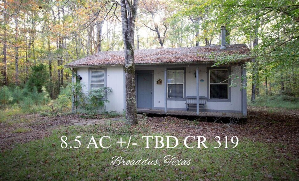 Primary Photo Of 8.5 ACRES +/- TBD CR 319, Broaddus Land For Sale