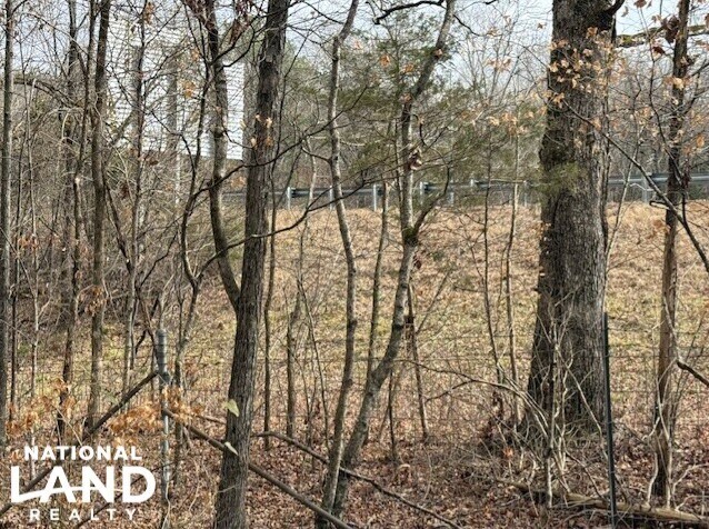 More Photos Of 1351A Old Water Works Rd SW, Fort Payne Land For Sale