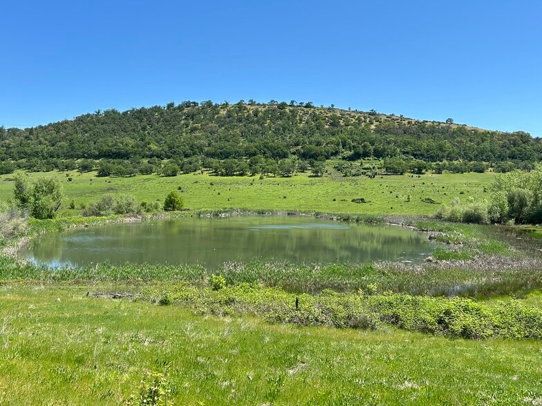 Primary Photo Of 5908 Foothill Rd, Central Point Land For Sale