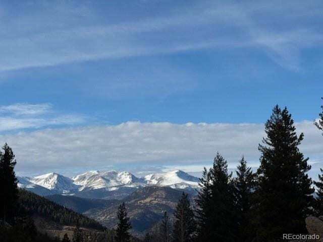 More Photos Of 1695 Packsaddle Trl, Evergreen Land For Sale