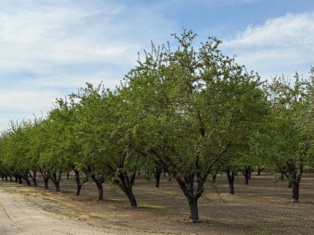 Primary Photo Of Leedom Rd @ Mountain View Rd, Hughson Land For Sale