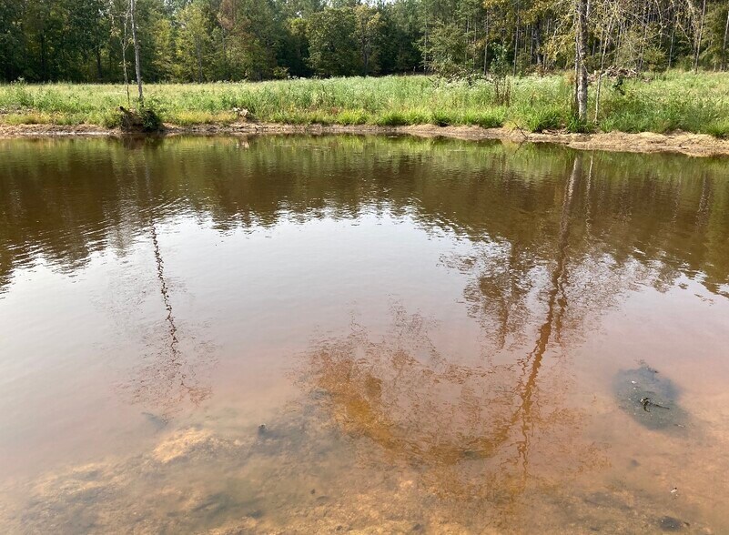 More Photos Of 92 Lillian Strong rd, Carlton Land For Sale