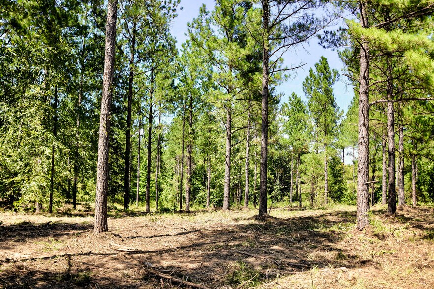 More Photos Of 1392 Fields Rd Fields Rd, Pauline Land For Sale
