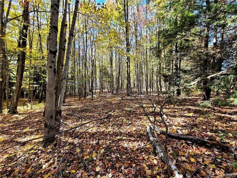 More Photos Of Kaufman Rd, Monticello Land For Sale