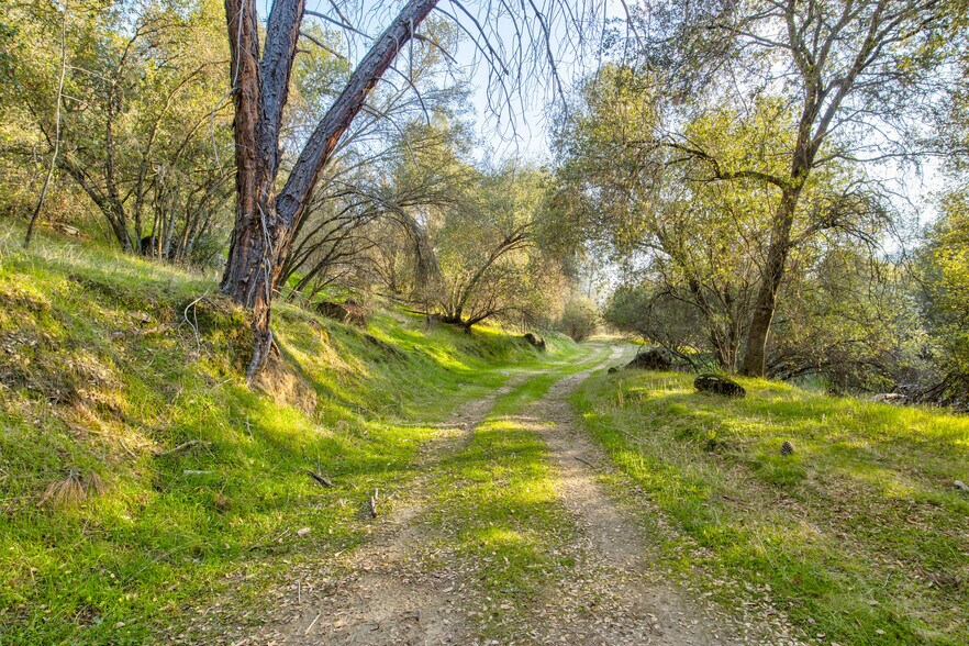More Photos Of 50871 Road 200, O Neals Land For Sale