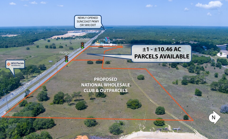 More Photos Of 0 W Norvell Bryant Hwy, Lecanto Land For Sale