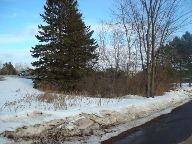 More Photos Of Hwy 8, Monico Land For Sale