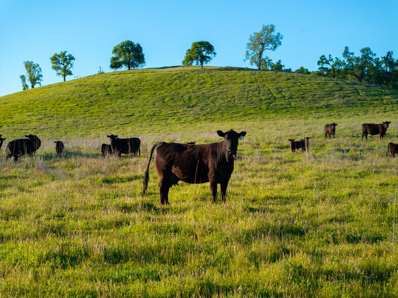 More Photos Of 76525 Interlake Rd, Bradley Land For Sale