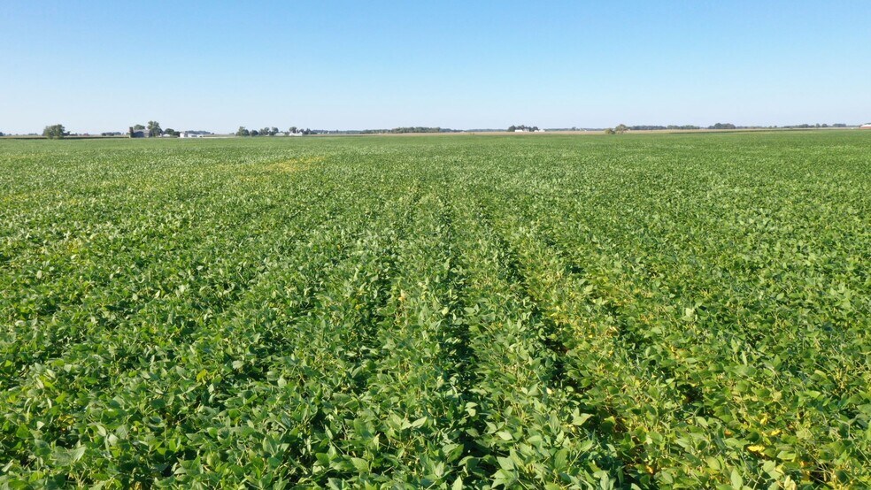 More Photos Of Snyder Road, Virgil Land For Lease