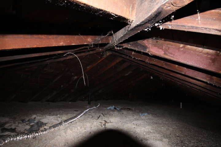 More Photos Of , Worcester Multifamily For Sale