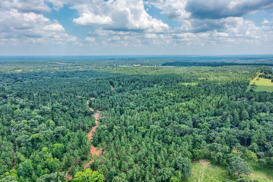 More Photos Of TBD State Hwy 64, Tyler Land For Sale