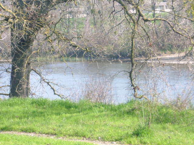 More Photos Of 3406-3436 American River Dr, Sacramento Office For Sale