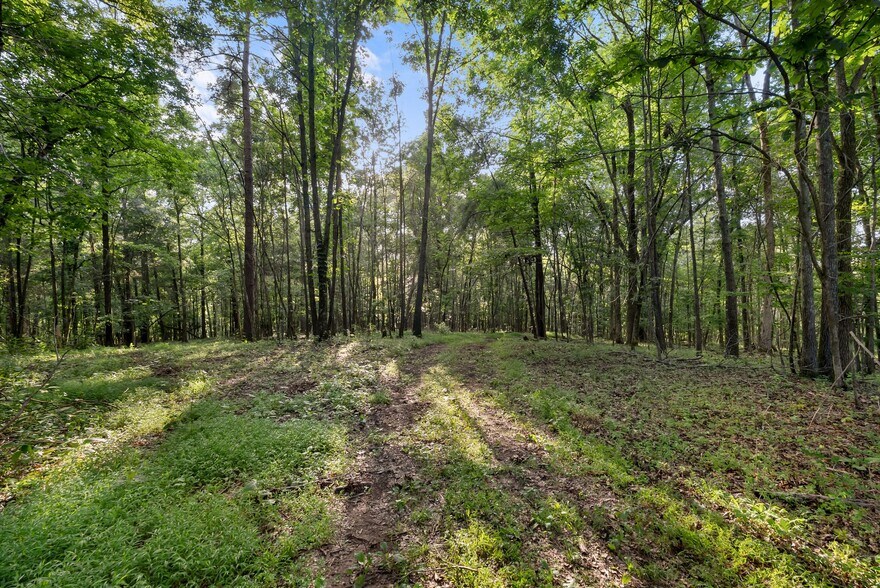 More Photos Of 2942 Newman Rd, Ardmore Land For Sale
