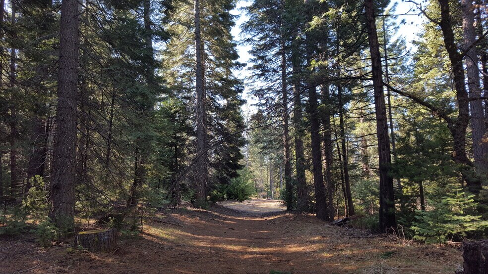 More Photos Of Winding Way, Grizzly Flats Land For Sale