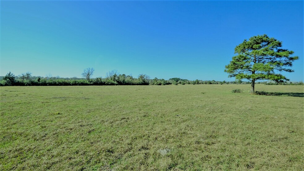More Photos Of 26266 Fields Store Rd., Waller Land For Sale